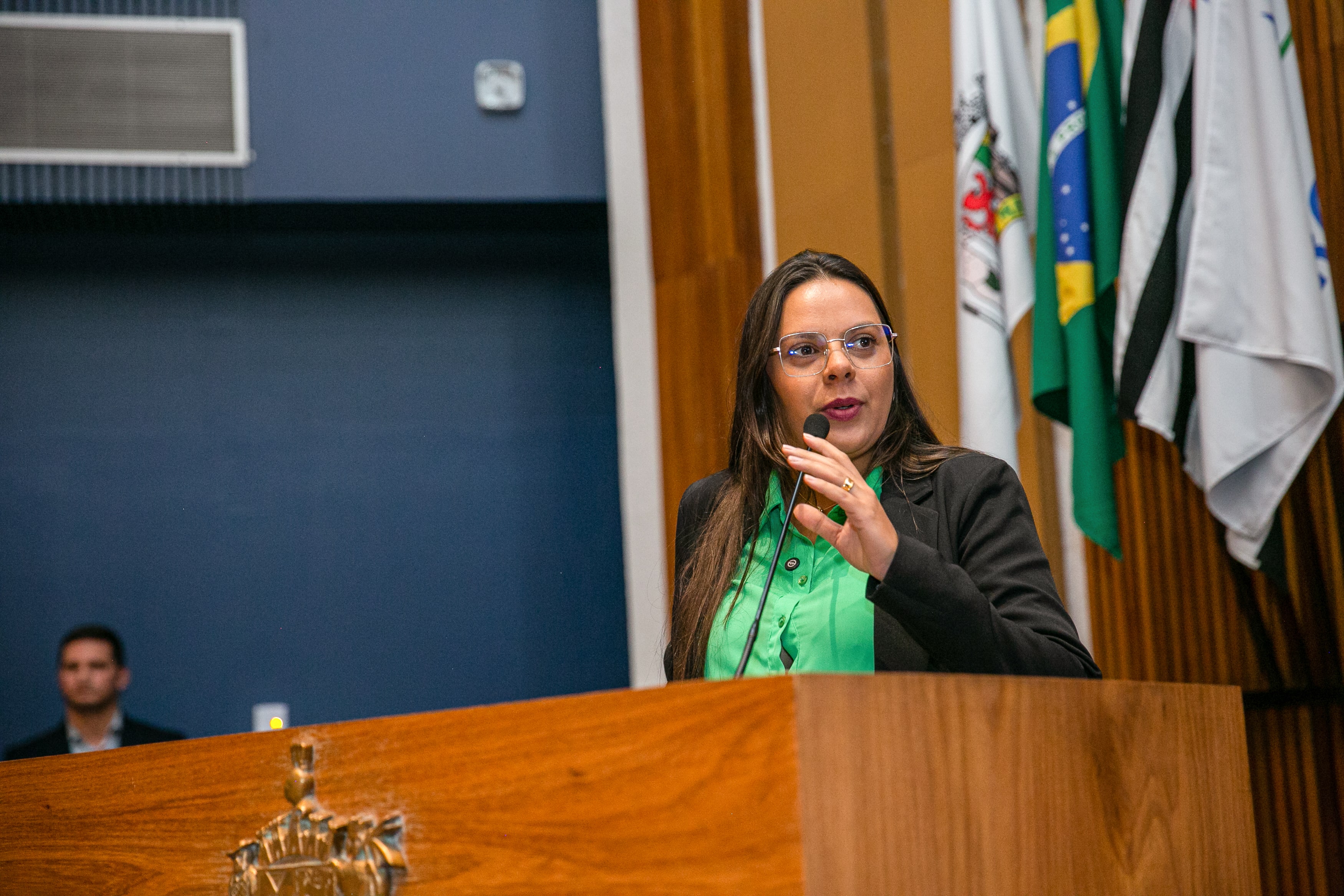 Nina Braga na Câmara