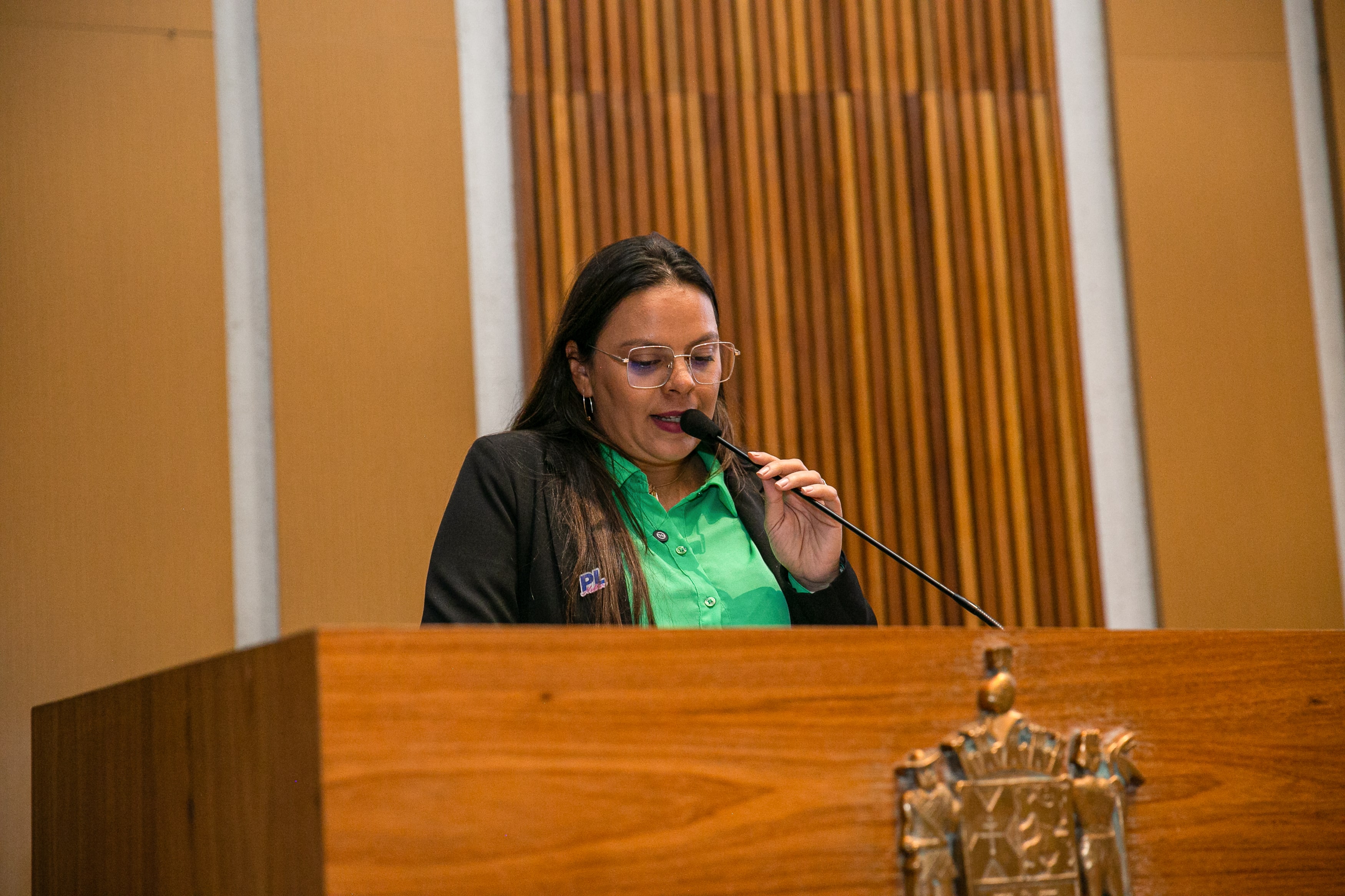 Nina Braga na Câmara