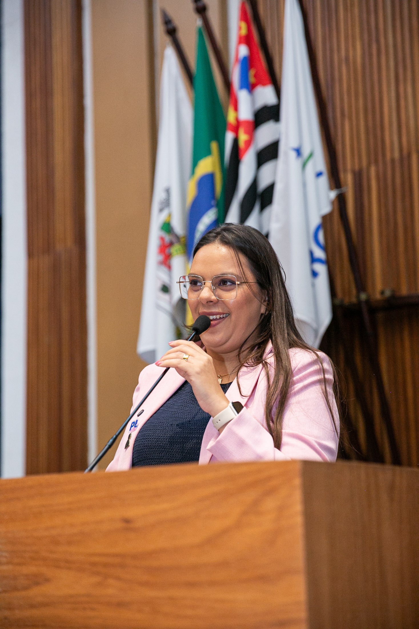 Nina Braga na Câmara